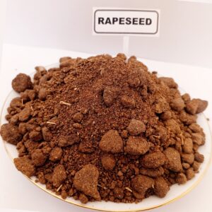 Rapeseed Meal