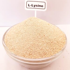 L-Lysine